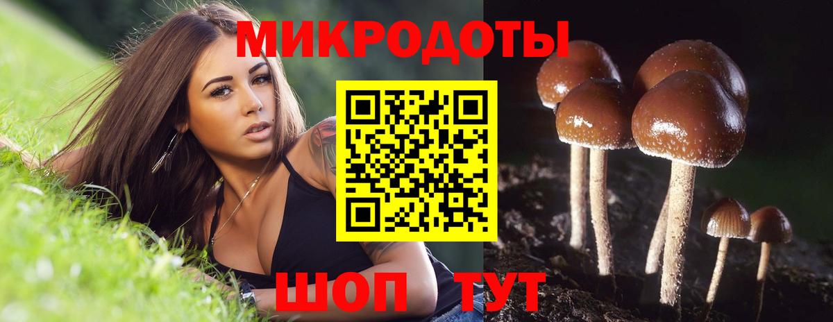 Сургут  Псилоцибиновые грибы Psilocybe  Вход с VPN  Галлюциногенные грибы ЛСД 